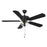 Meridian Modern 2 Light 52" Outdoor Ceiling Fan