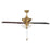 Meridian Modern 2 Light 52" Outdoor Ceiling Fan