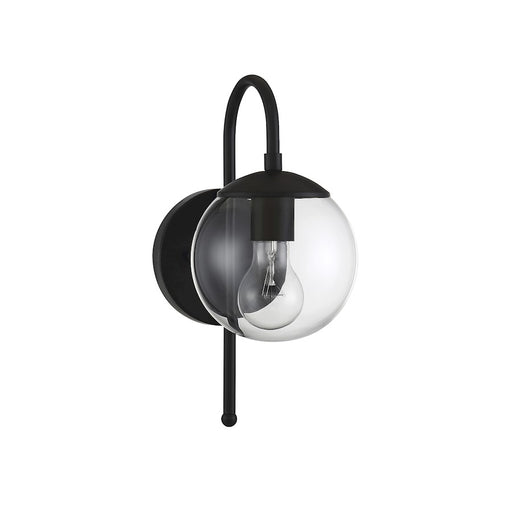 Meridian Farmhouse 1 Light 13" Outdoor Wall Lantern, Black/Clear