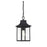 Savoy House 1-Light Outdoor Hanging Lantern, Black - M50052BK