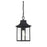 Meridian Traditional 1 Light Outdoor Hanging Lantern