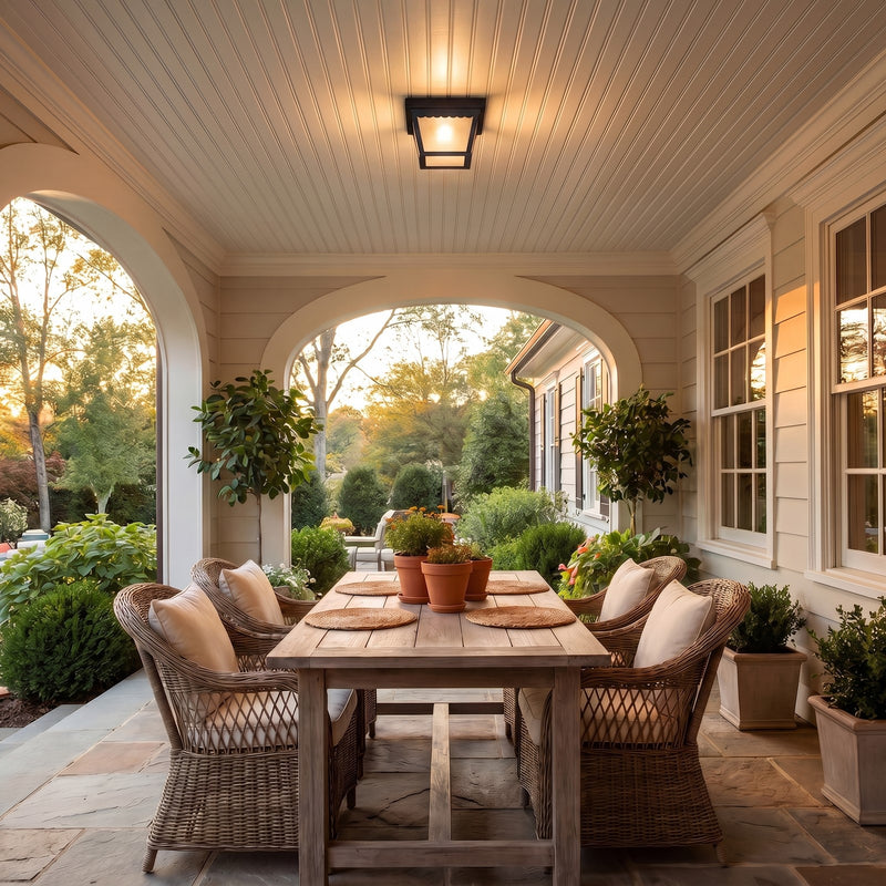 Meridian Traditional 1 Light Outdoor Flush Mount, Black/Frosted