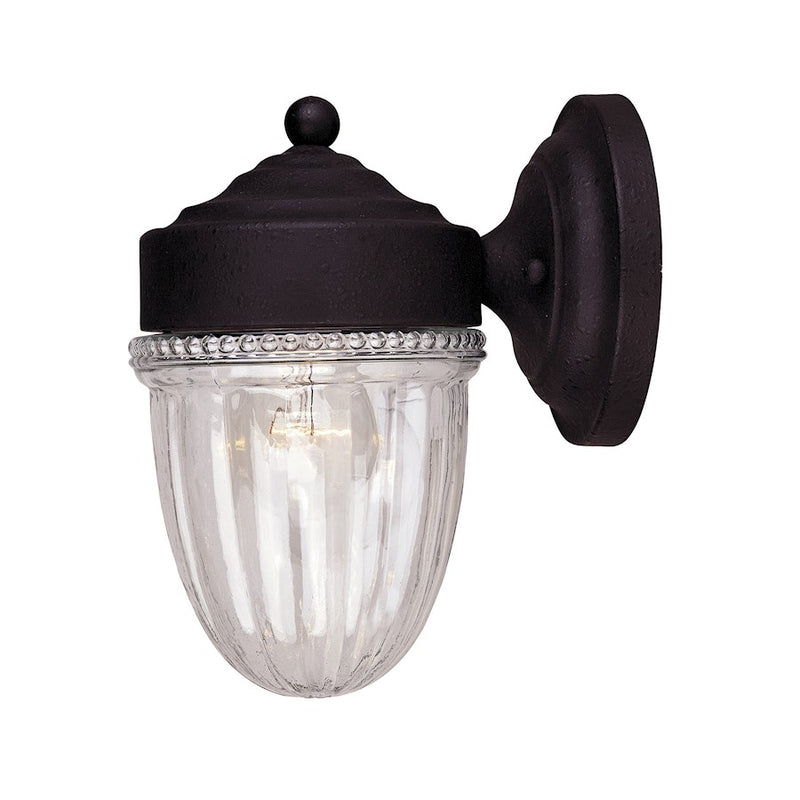 Meridian Traditional 1 Light Outdoor Wall Lantern, Black/Clear Ribbed