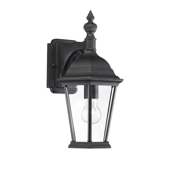 Savoy House 1-Light 16" Outdoor Wall Lantern, Black - M50062BK