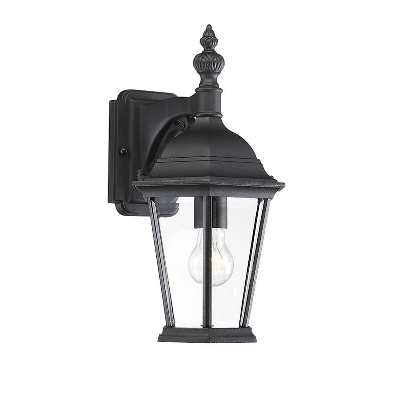 Meridian Transitional 1 Light 15.5" Outdoor Wall Lantern, Black/Clear