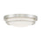 Meridian Industrial 2 Light 4" Flush Mount
