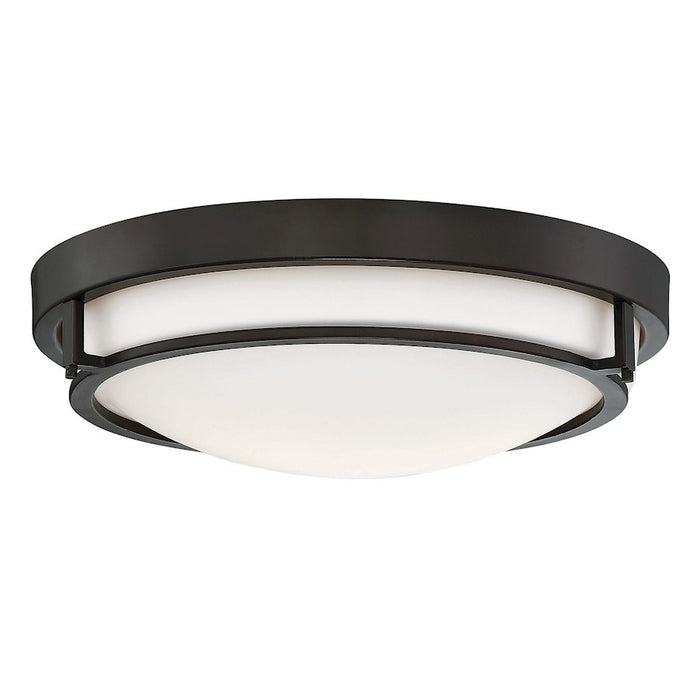 Meridian Industrial 2 Light 4" Flush Mount