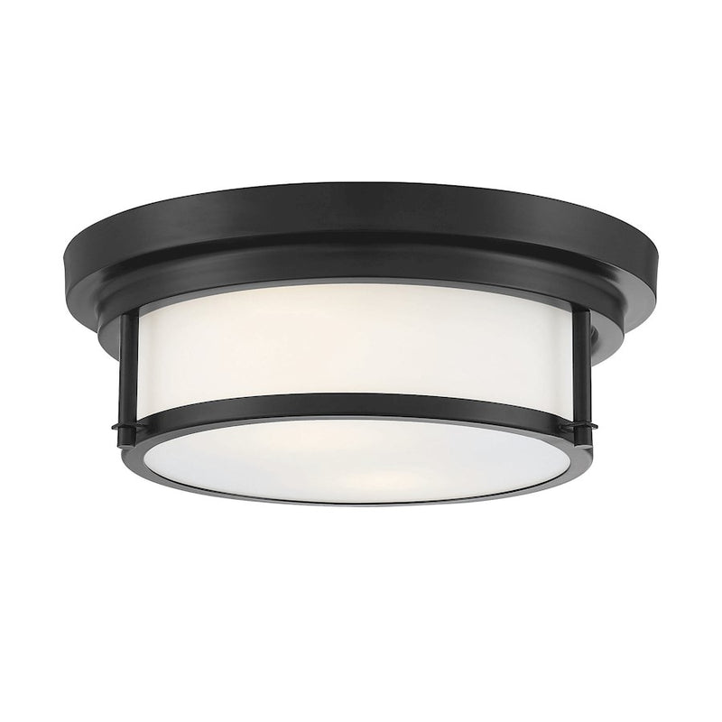 Savoy House 2-Light 4.5" Ceiling Light, Black