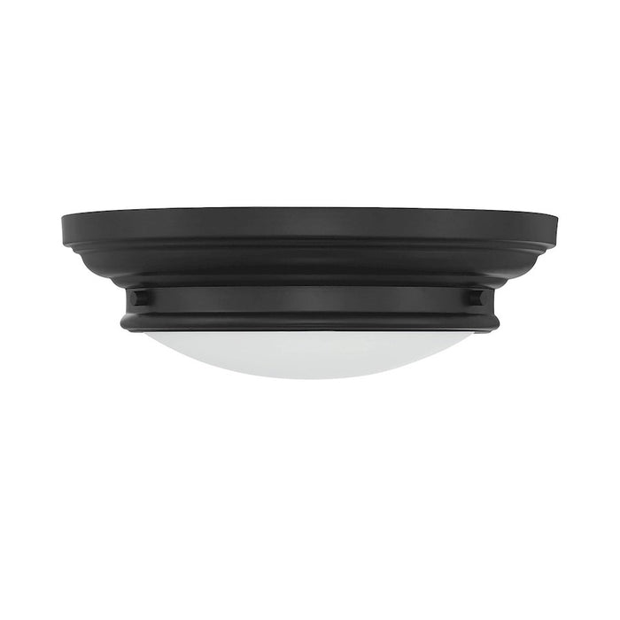 Savoy House 2-Light 4.5" Ceiling Light, Matte Black