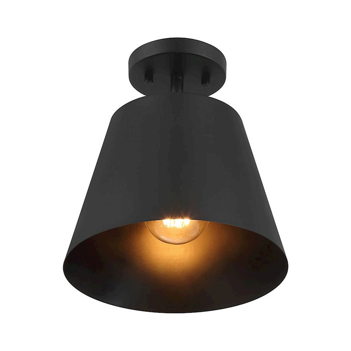 Savoy House Meridian 1Lt Ceiling Light, Black