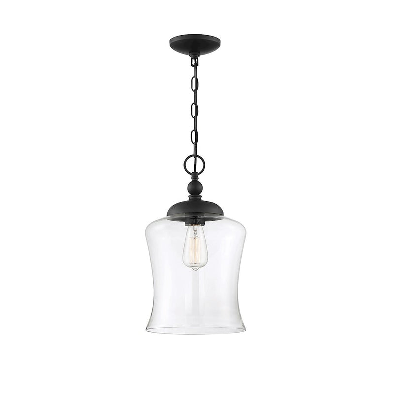 Meridian Transitional 1 Light 16" Pendant, Matte Black/Clear