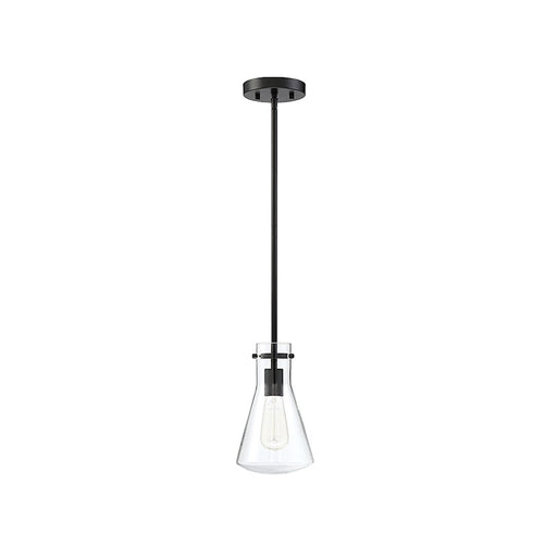 Meridian Modern 1 Light 10" Pendant, Matte Black/Clear