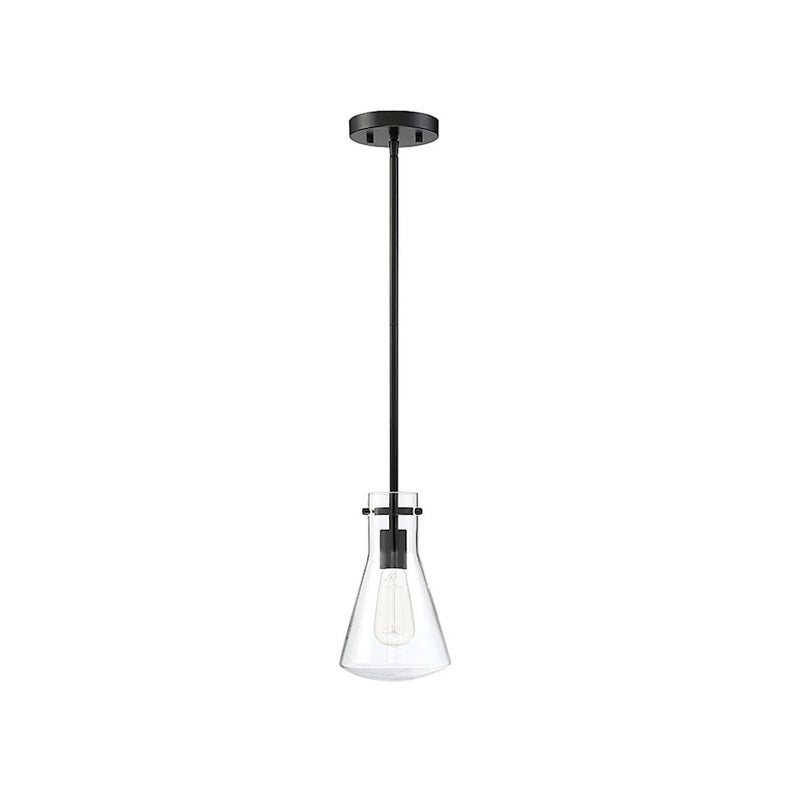 Meridian Modern 1 Light 10" Pendant, Matte Black/Clear