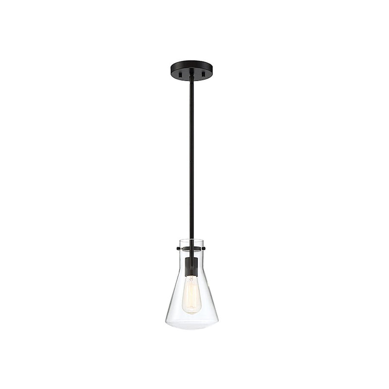 Meridian Modern 1 Light 10" Pendant, Matte Black/Clear