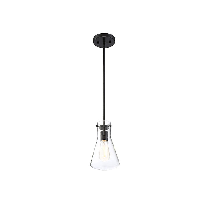 Meridian Modern 1 Light 10" Pendant, Matte Black/Clear