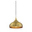 Meridian Modern 1 Light Plug, Mini Pendant