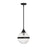 Meridian Modern 1 Light Mini Pendant