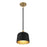 Savoy House 1-Light 9" Pendant, Matte Black/Natural Brass