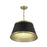 Meridian Vintage 12" Pendant, Matte Black/Natural Brass