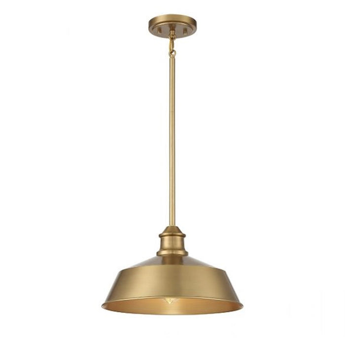 Meridian Vintage 1 Light 8" Pendant