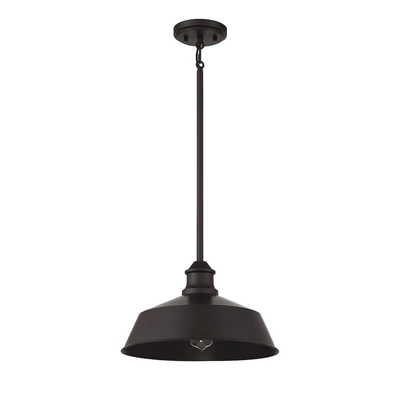 Meridian Vintage 1 Light 8" Pendant
