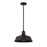 Meridian Vintage 1 Light 8" Pendant