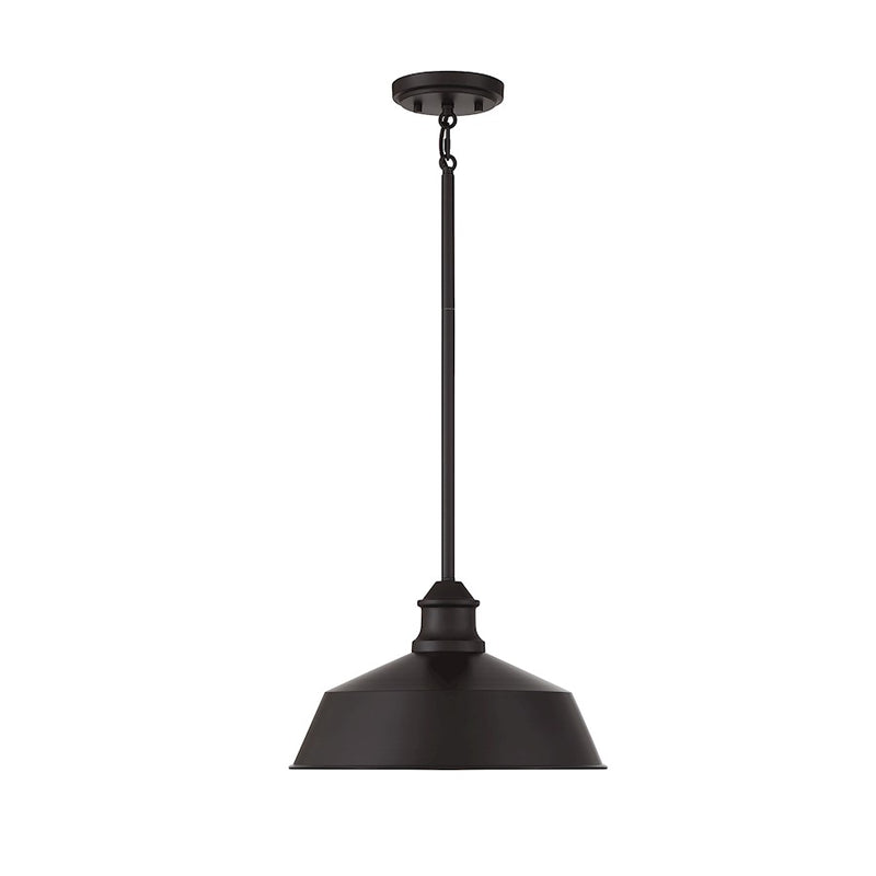 Meridian Vintage 1 Light 8" Pendant