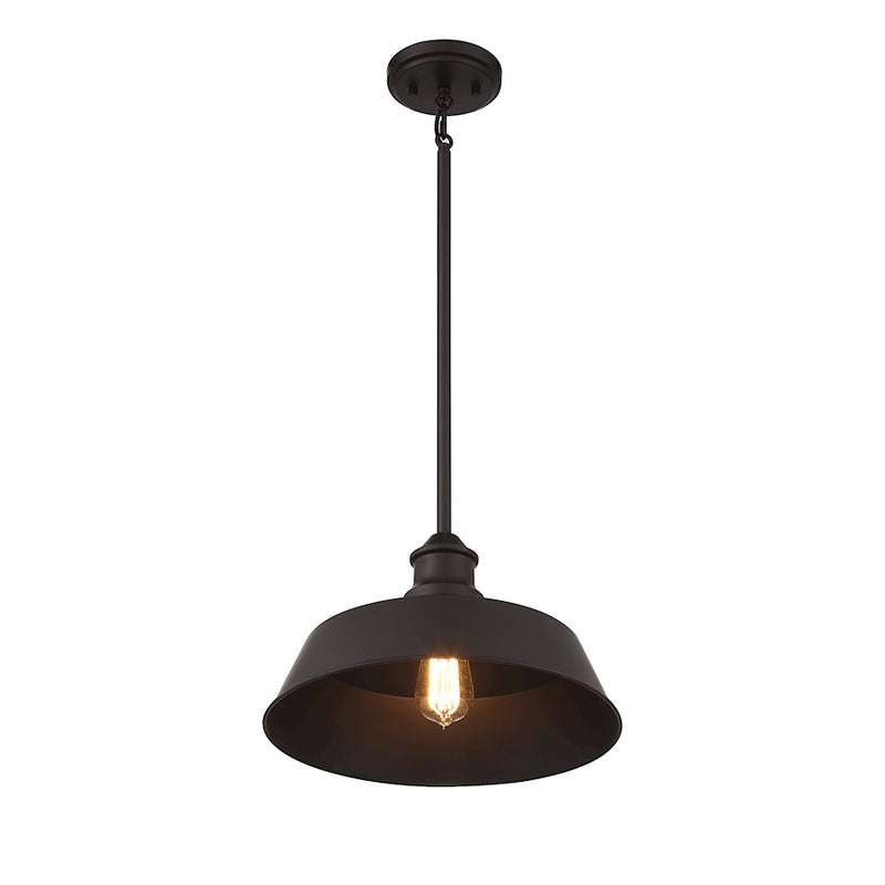Meridian Vintage 1 Light 8" Pendant