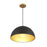 Savoy House 1-Light 10" Pendant, Matte Black/Natural Brass