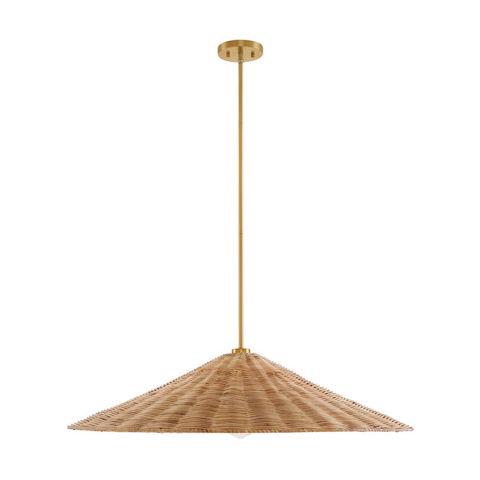 Meridian 1 Light 35" Pendant, Natural Brass - M7042NB