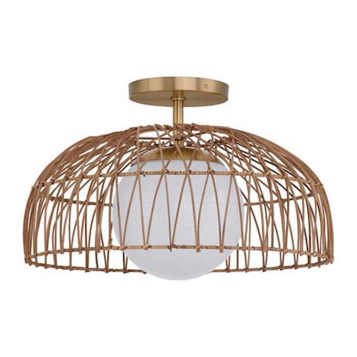 Meridian 1 Light Convertible Pendant/Semi Flush, Brass/WH Etched