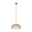 Meridian 1 Light Convertible Pendant/Semi Flush, Brass/WH Etched