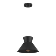 Savoy House Meridian 1Lt 12" Pendant, Black - M7049MBK