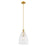 Savoy House Meridian 1Lt 10" Pendant, Natural Brass/Clear Pleated