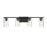Meridian Transitional 4 Light Bathroom Vanity, Clear Swirl