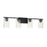 Meridian Transitional 4 Light Bathroom Vanity, Clear Swirl