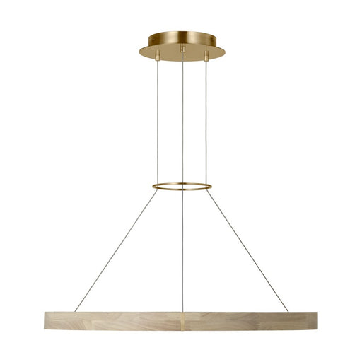 Visual Comfort Modern Ashok 1 Light 31" Chandelier, Brass - SLCH66027HABWWO