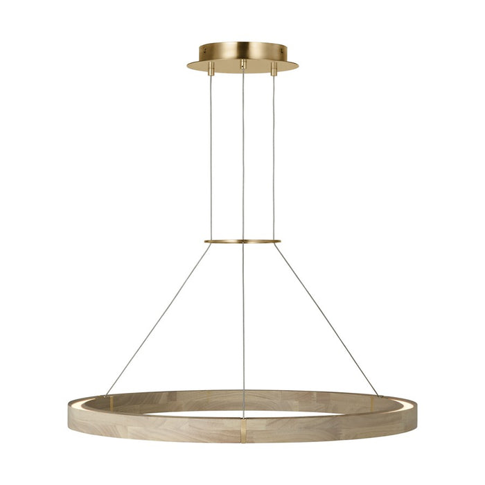Visual Comfort Modern Ashok 1 Light 31" Chandelier, Brass