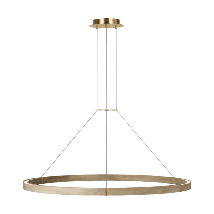 Visual Comfort Modern Ashok 1 Light 48.7" Chandelier, Brass