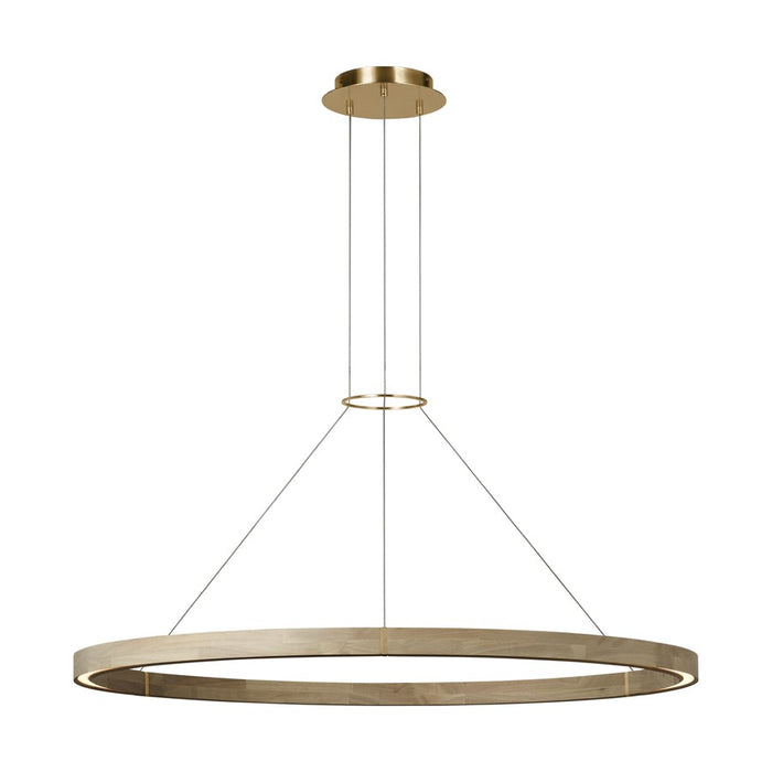 Visual Comfort Modern Ashok 1 Light 48.7" Chandelier, Brass