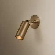 Troy Lighting Caleb 1 Light 8.8"H Wall Sconce, Patina Brass/Solite