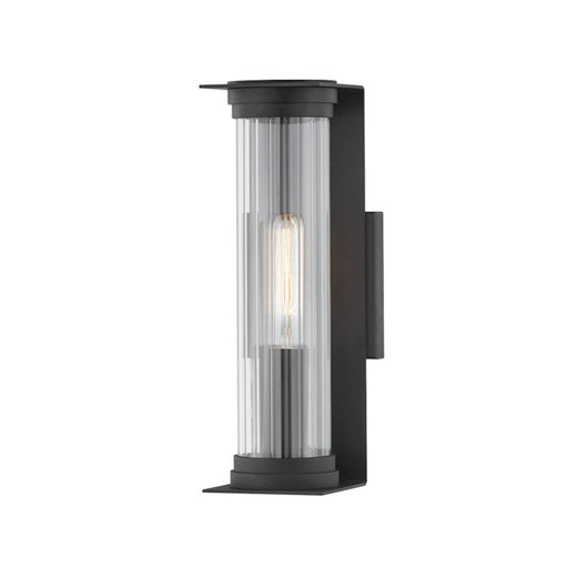 Troy Lighting Presley 1 Light Exterior Sconce, Black/Clear