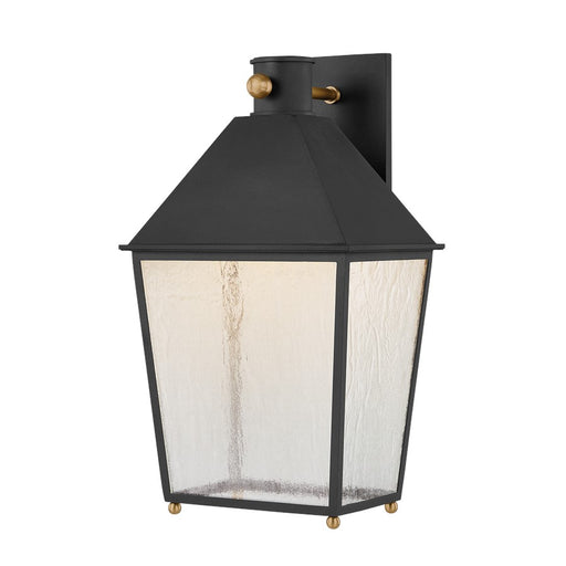 Troy Lighting Gladden 1Lt 20" Wall Sconce, Black/Clear Seeded - B5720-TBK-PBR