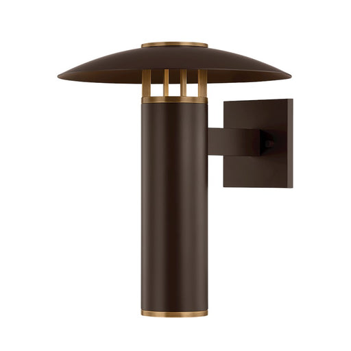 Troy Lighting Birk 1Lt 15" Exterior Sconce, Brass/Bronze/Etched - B7915-PBR-BRZ