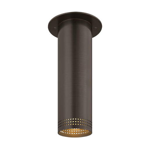 Troy Lighting Berg 1 Light 10"H Flush Mount, Bronze