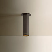 Troy Lighting Berg 1 Light 10"H Flush Mount, Bronze
