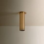 Troy Lighting Berg 1 Light 10"H Flush Mount, Patina Brass