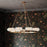 Troy Lighting Caelum 9Lt Chandelier, Patina Brass/Seeded Cloud