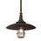 Troy Lighting Allegheny 1Lt Pendant, - F3229-HBZ