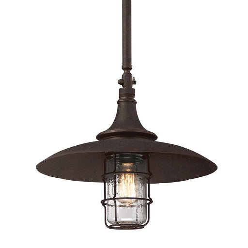 Troy Lighting Allegheny 1Lt Pendant, - F3229-HBZ